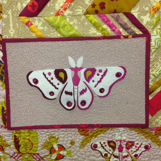 butterfly quilt crop